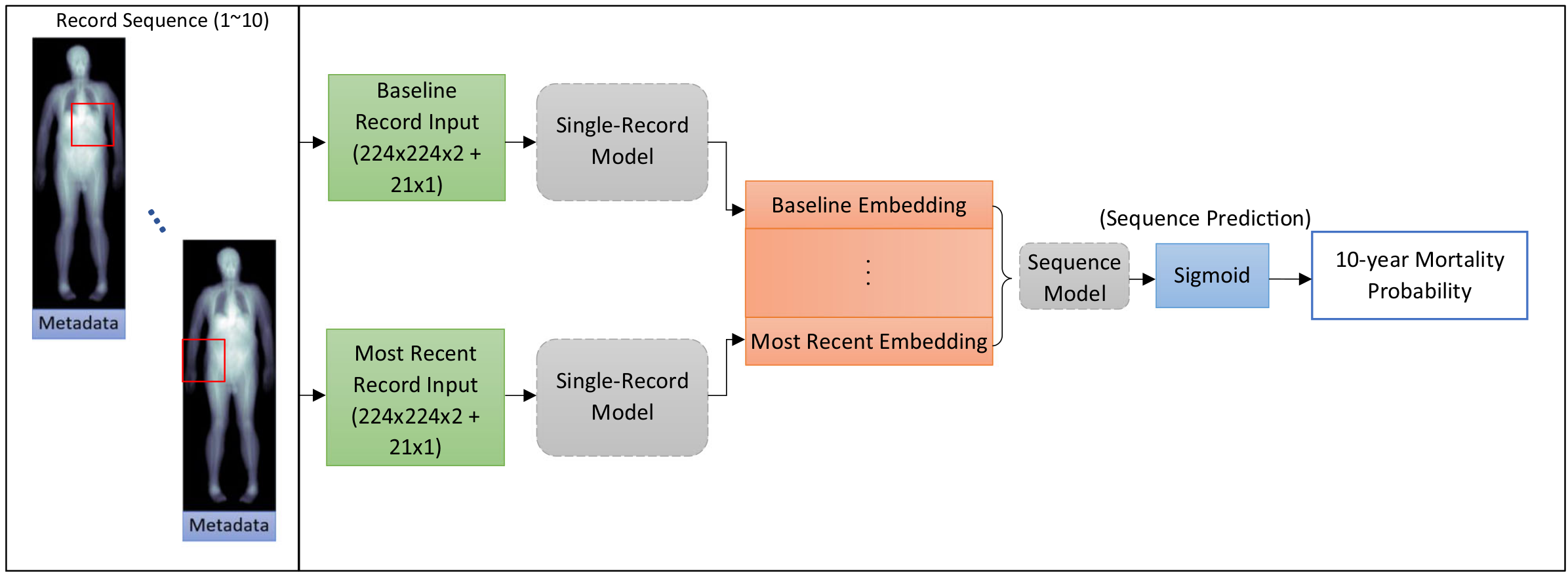 sequential record dxa image deep learning model diagram