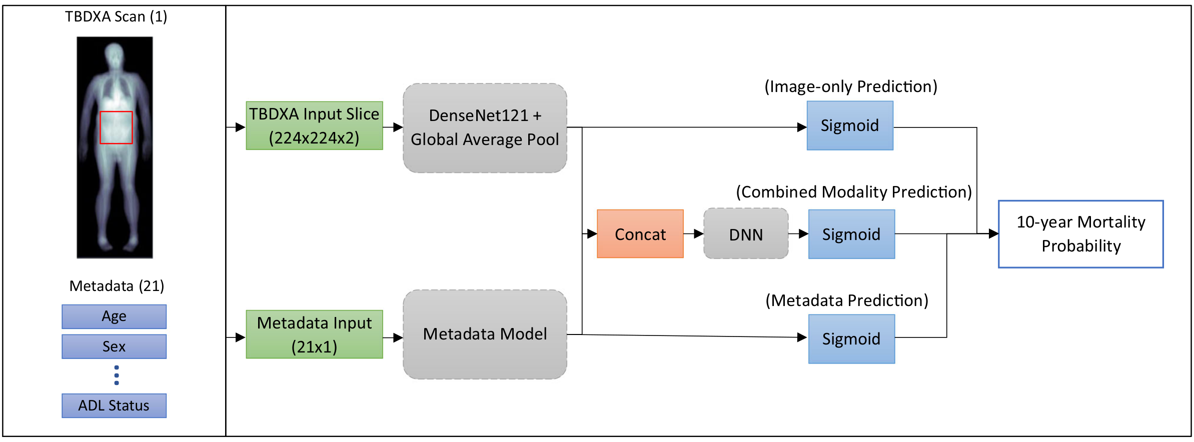 single record dxa image deep learning model diagram